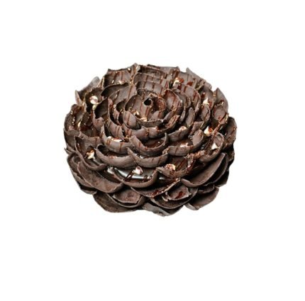 Choco Wings Cake